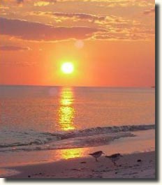 Southwest Florida real estate
