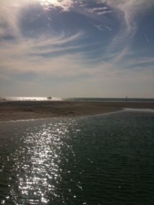 Enjoy some of the most pristine beaches in all of Florida when you call Longboat Key your home!