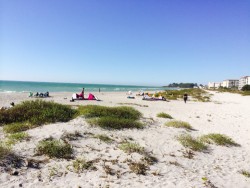 Quiet Gulf Coast Beach