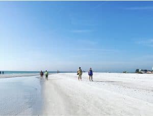 Beautiful Siesta Key