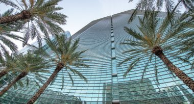 Looking up at a tall commercial building with palm trees in the foreground, symbolizing Florida commercial real estate.